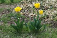 �̹����� Ŭ���Ͻø� ū�̹����� ���� �� �ֽ��ϴ�